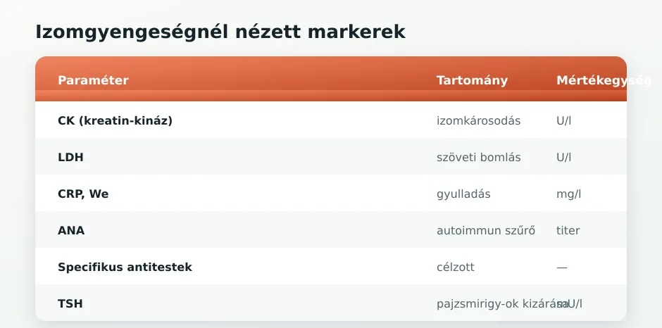 Autoimmun markerek táblázata