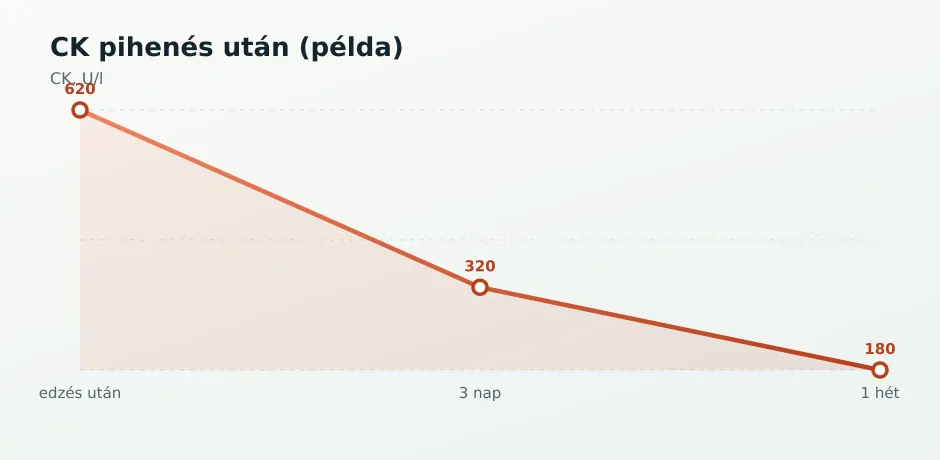 CK trend pihenés után