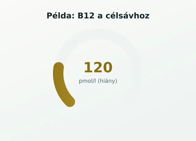 B12 gauge