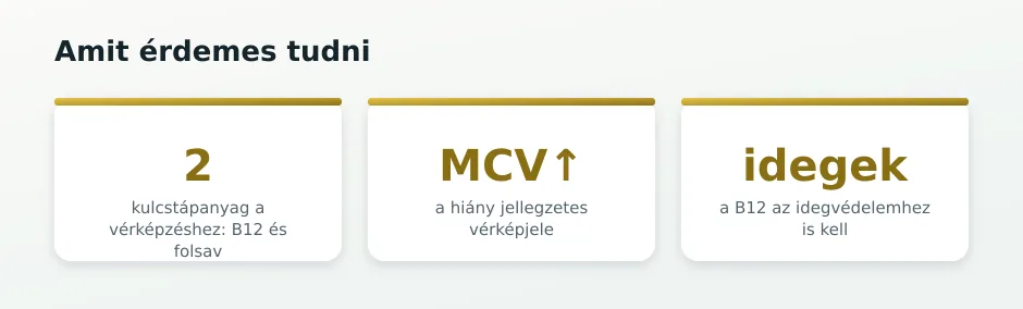B12 statisztika-csempék