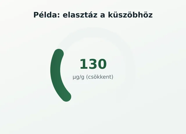 Elasztáz gauge