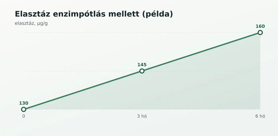 Elasztáz trend