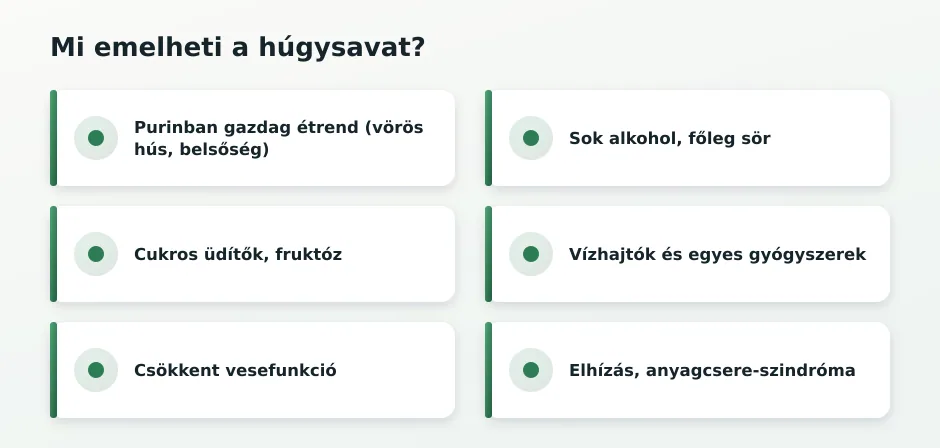 Magas húgysav okai