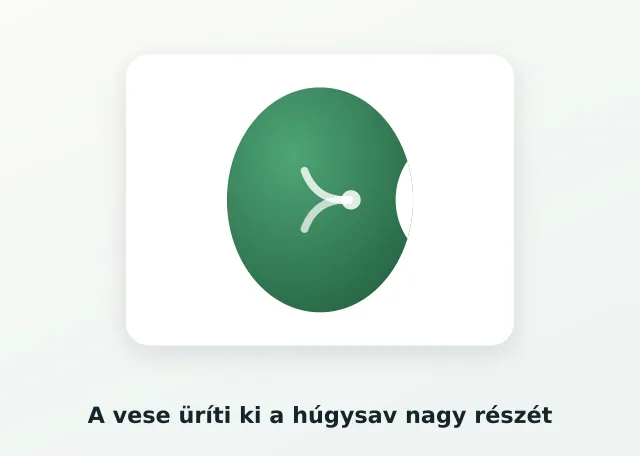 Vese illusztráció a húgysavhoz