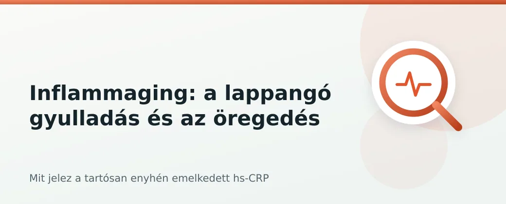 Inflammaging cikk fejléce