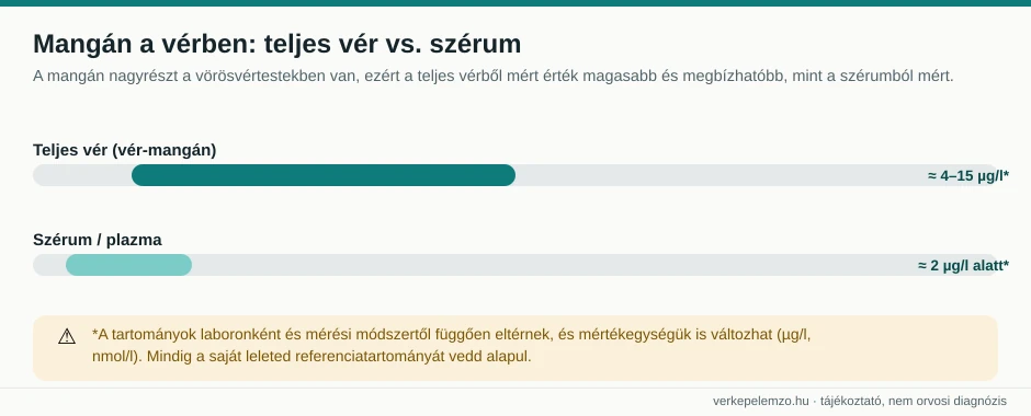 Mangán referenciatartomány teljes vér és szérum