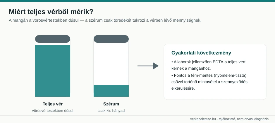 Teljes vér és szérum mangán összehasonlítása