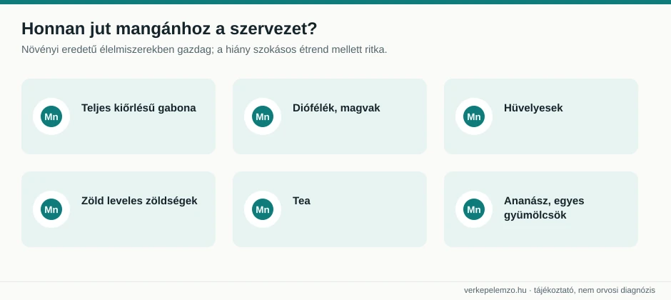 Mangán táplálékforrásai