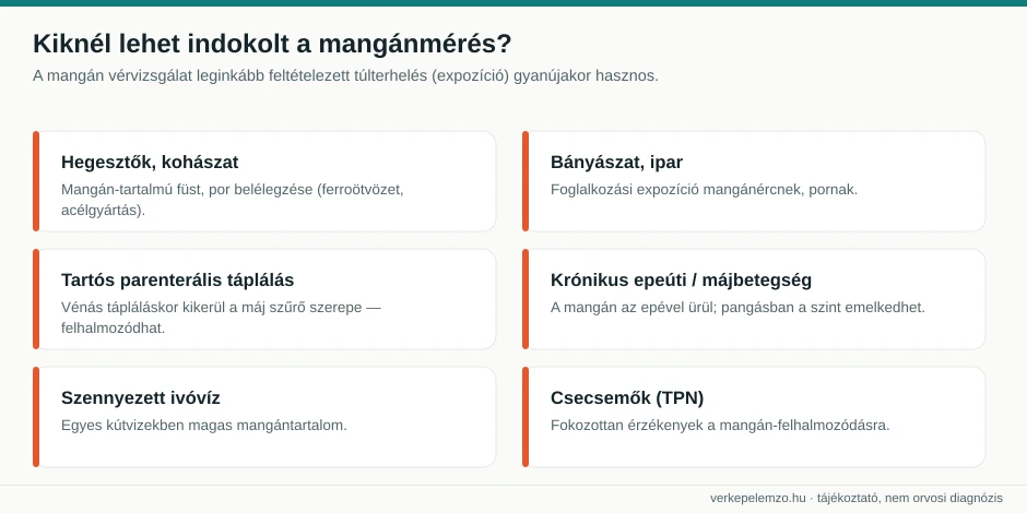Mangán túlterhelés kockázati csoportjai