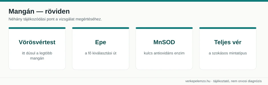 Mangán statisztika csempék