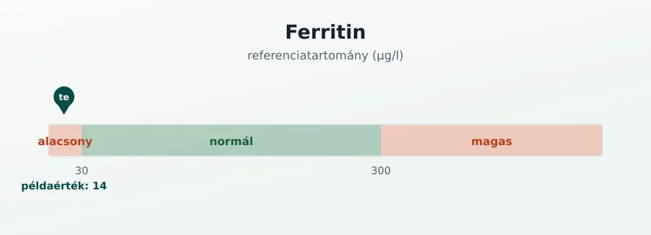 Ferritin referenciasáv µg/l-ben