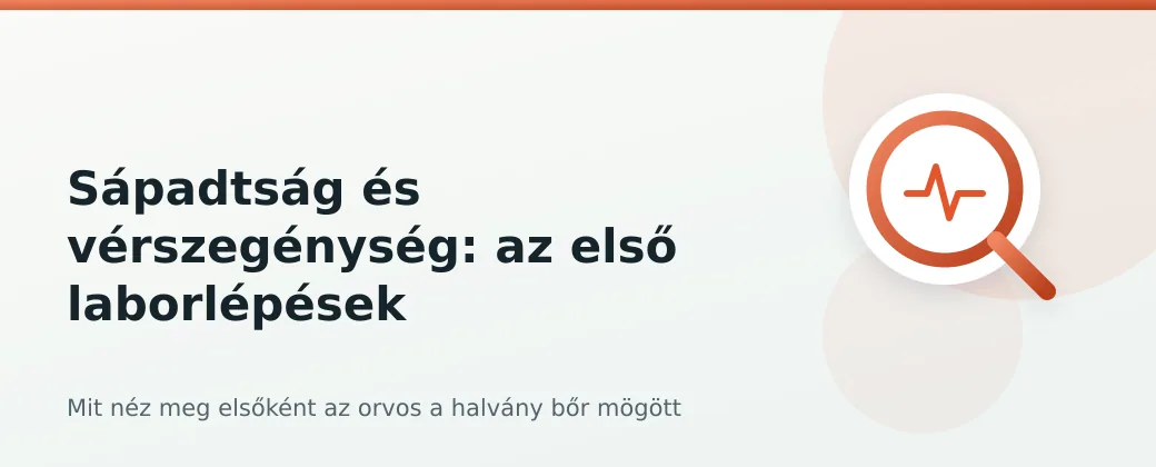 Sápadtság és vérszegénység cikk fejléce